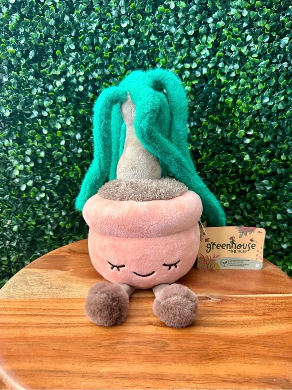 Greenhouse by Russ Helena the Ponytail Palm Tree (Succulent) 12” Plush